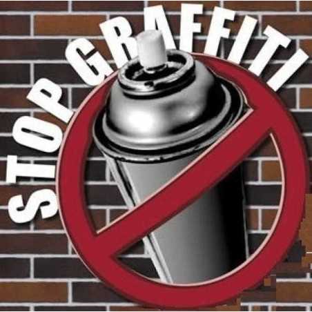 Barniz Protector Transparente para Fachadas Silicol