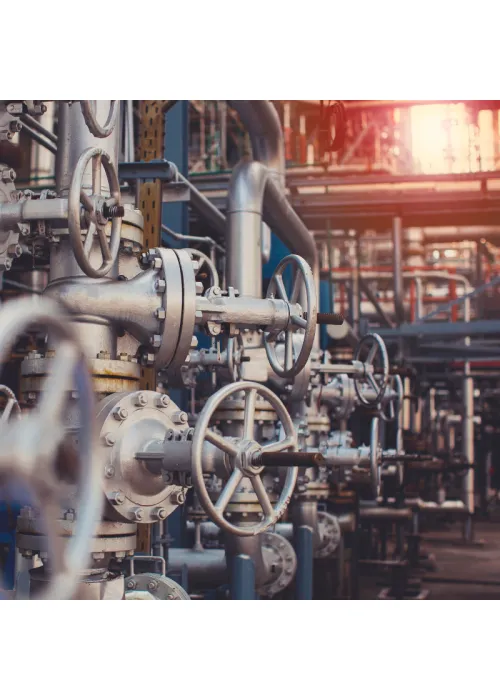 Imprimación Epoxi Bicomponente Rico...