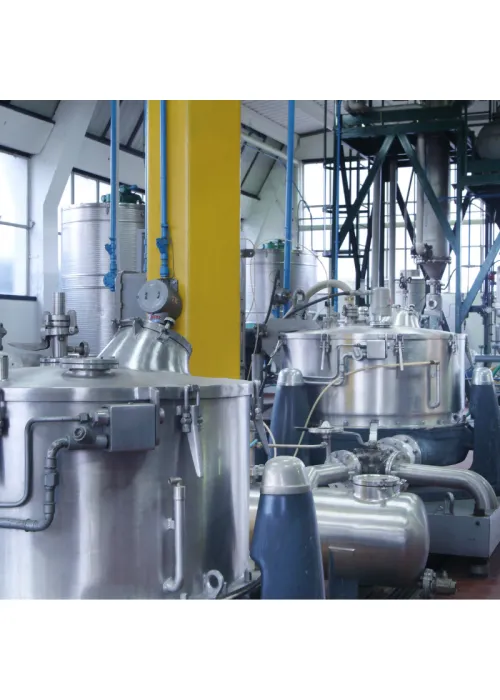 Imprimación Epoxi sin Fosfato y...