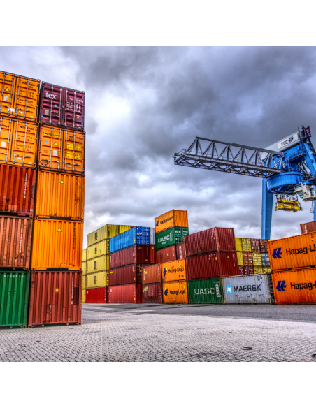 Imprimación Alquídica Anticorrosiva al Disolvente (PINVISA)