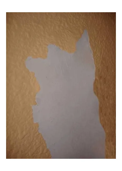 Pintura Efecto Gotelé en Spray Pintura Efecto Gotelé en Spray