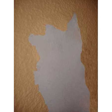 Pintura Efecto Gotelé en Spray