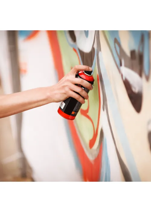 Barniz de Poliuretano Poliéster Antigraffiti (PINVISA) Barniz de Poliuretano Poliéster Antigraffiti (PINVISA)