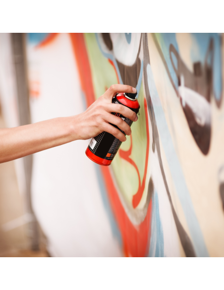 Barniz de Poliuretano Poliéster Antigraffiti (PINVISA)