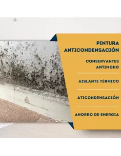 Pintura anticondensación 2