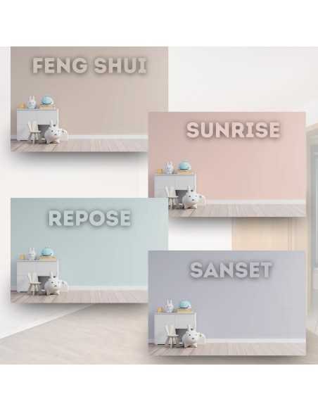 Peinture Anti-condensation en Couleurs, Thermo-isolante et Anti-moisissure BricoSalvaje Premium