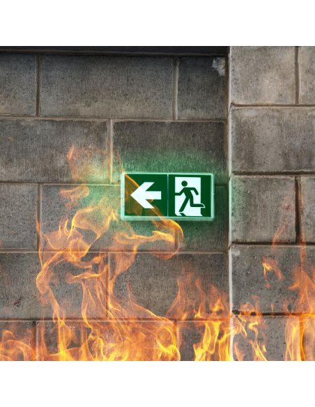 Pintura Intumescente En Base Agua Para La Protección De Estructuras De Acero Contra Fuego (PINVISA)