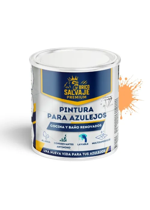 Peinture Brillante pour Carreaux de... Peinture Brillante pour Carreaux de...