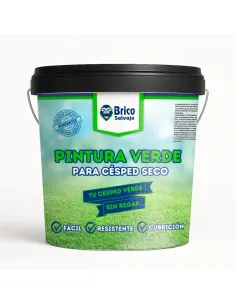 Pintura Verde Especial para Césped y Hierba Bricosalvaje