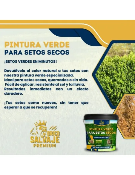 Peinture pour Haies BricoSalvaje Premium