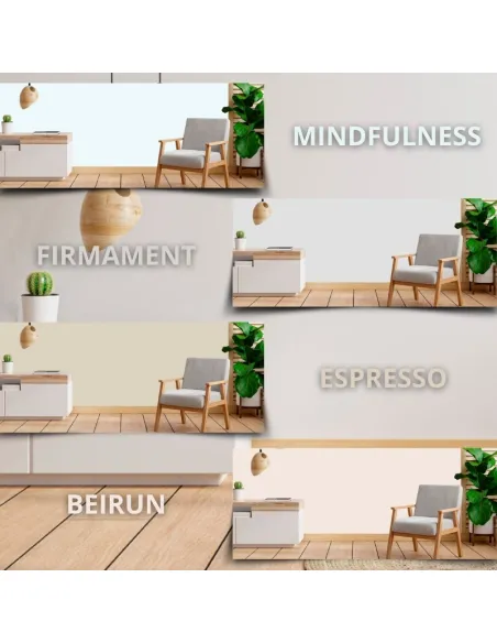 Peinture anti-condensation, anti-humidité, avec conservateurs anti-moisissures Bricosalvaje