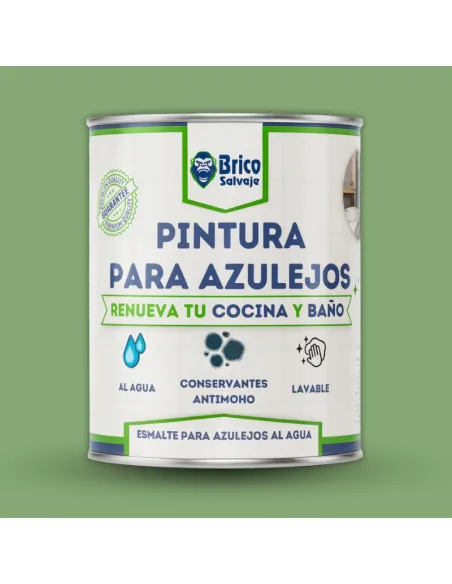 Peinture mate pour carrelage Bricosalvaje