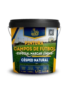 Bote de pintura para marcar campos de fútbol Bricosalvaje Premium