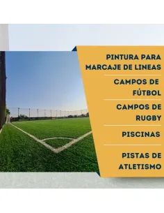 Bote de pintura para marcar campos de fútbol Bricosalvaje Premium 2