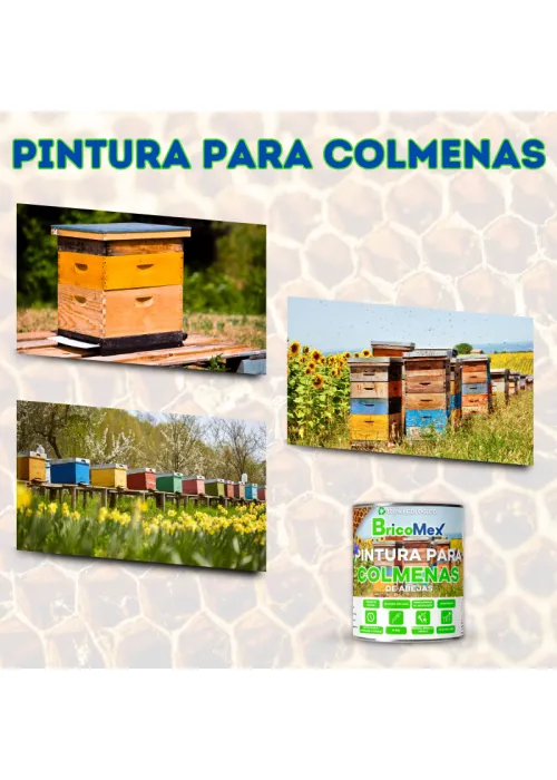como-aplicar-pintura-para-colmenas