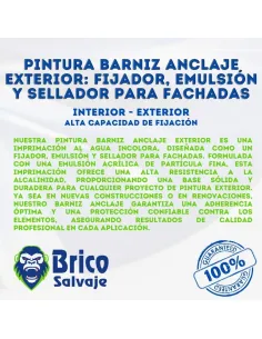 Pintura Barniz Anclaje Exterior: Fijador, Emulsión y Sellador para Fachadas 2