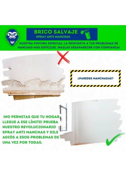 Antimanchas en Aerosol de Rápida Absorción