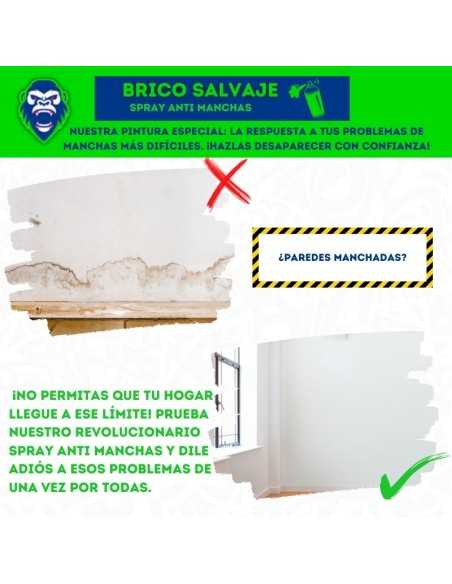 Antimanchas en Aerosol de Rápida Absorción