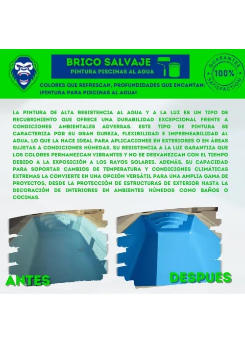 Pintura Especial para Piscinas en Medio Acuoso