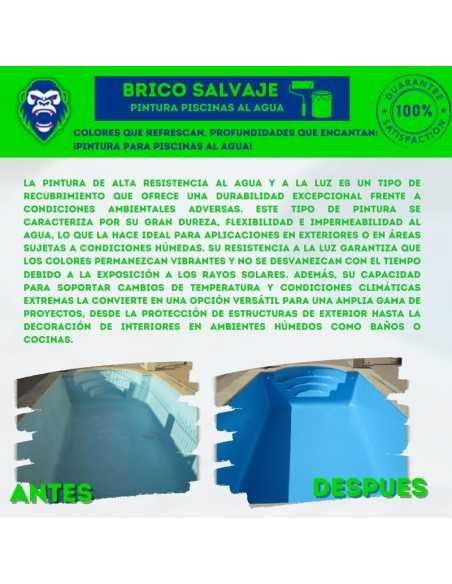 Pintura Especial para Piscinas en Medio Acuoso