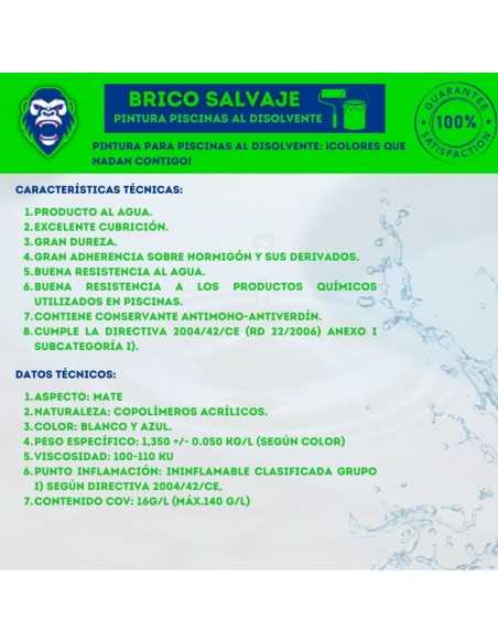 Pintura Piscinas al Disolvente Macy