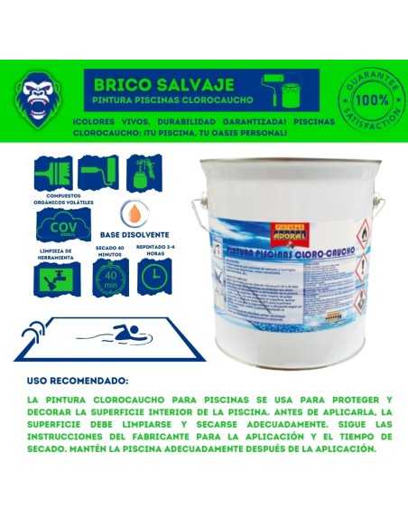 Pintura Piscina Clorocaucho