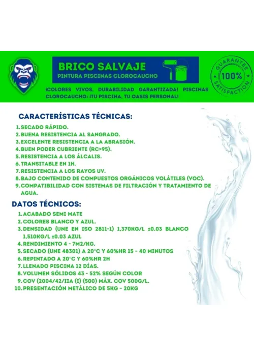 Pintura Piscina Pintura Piscina