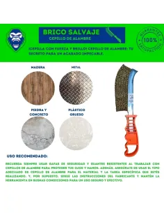 Cepillo de Alambre Virola 2