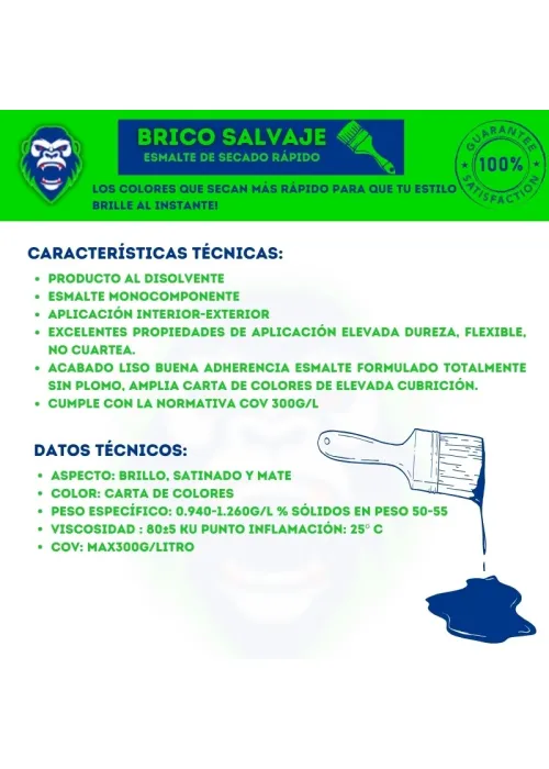 Pintura Esmalte Sintético Brillo de Secado Pintura Esmalte Sintético Brillo de Secado