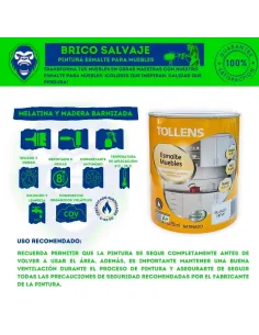 Pintura Esmalte para Muebles Tollens 2