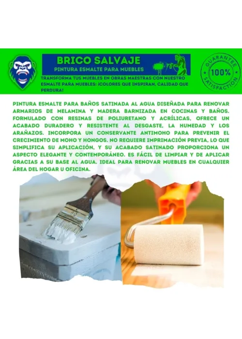 Pintura Esmalte Muebles Tollens