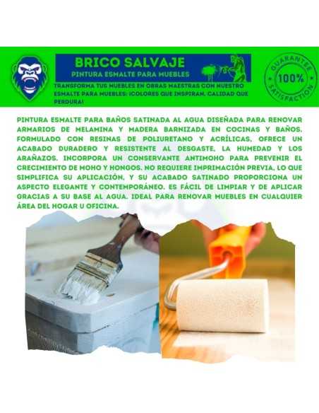 Pintura Esmalte Muebles Tollens