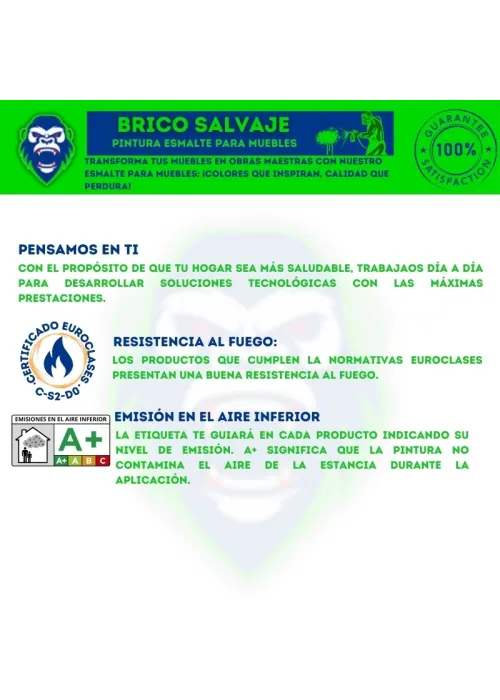 Pintura Esmalte para Muebles Tollens