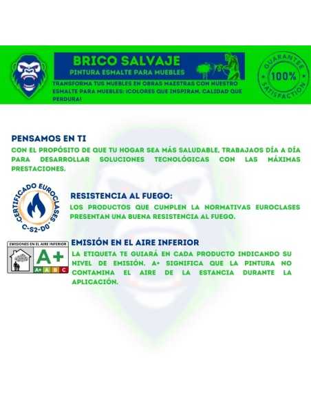 Pintura Esmalte para Muebles Tollens