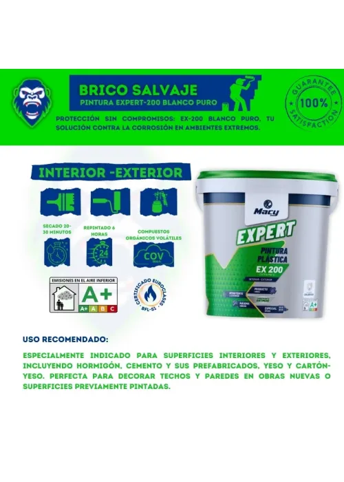 EX-200 Expert Blanco Puro: Pintura...
