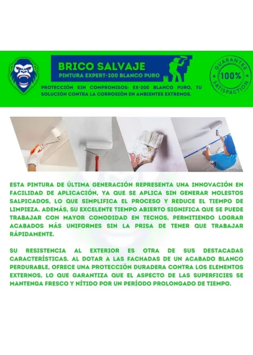 EX-200 Expert Blanco Puro: Pintura...