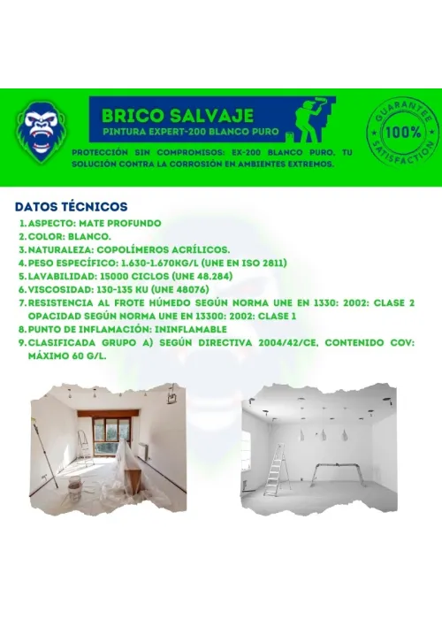 EX-200 Expert Blanco Puro: Pintura...
