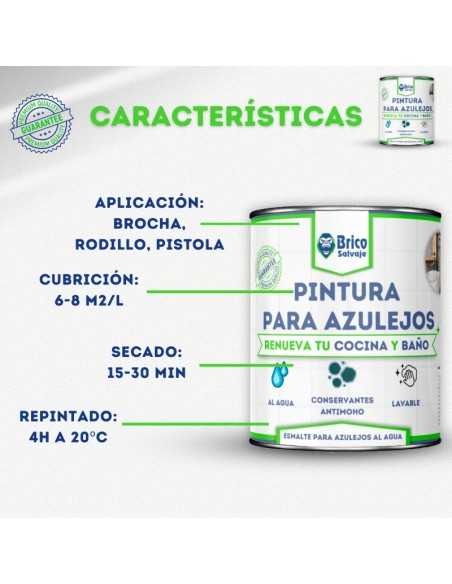 Pintura para Azulejos Bricosalvaje