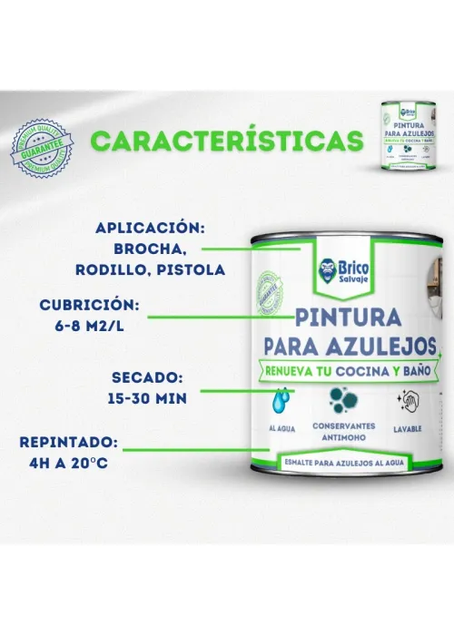 Pintura para Azulejos Brillante Bricosalvaje