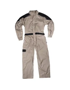 Funda de trabajo Profesional Económica