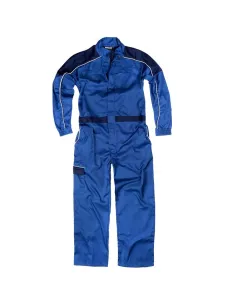 Funda de trabajo Profesional Económica 2