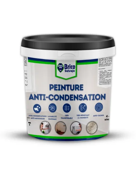 Peinture anti-condensation, anti-humidité, avec conservateurs anti-moisissures Bricosalvaje