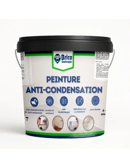 Peinture anti-condensation, anti-humidité, avec conservateurs anti-moisissures Bricosalvaje